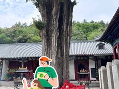 -青檀寺景区