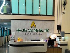 -半岛宠物医院24小时(科华中路店)