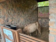 -珠海海泉湾神秘岛亲子乐园