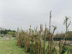 -上海野生动物园
