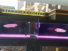 -星巴克(北京西大望路温特莱店)