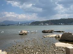 -洱海月湿地公园