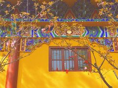 -宝通禅寺