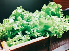 -梅梅家的烤肉店(槐北路店)