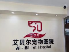 -艾贝尔宠物医院·24H转诊中心·肿瘤猫专科(江宁双龙店)