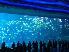 -广东省拱北口岸中国旅行社(华宾营业部)