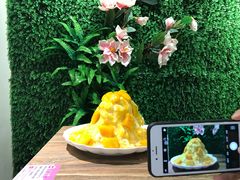 -杨小贤芒果绵绵冰(南门口店)