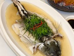 -聚彩居三和酒楼•老字号粤菜(南城店)