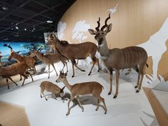 -陕西自然博物馆