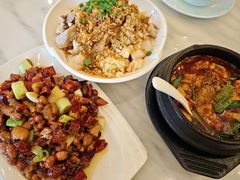 -陈麻婆豆腐总店