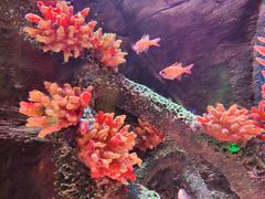 -沈阳海洋探索中心