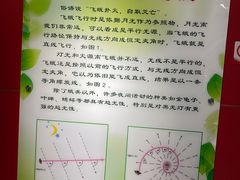 -上海昆虫博物馆