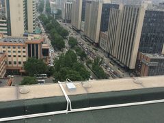 -梧桐餐厅(泉城路店)