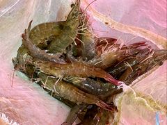 -巽寮印象美食部落餐厅·海鲜·地方特色菜(惠州体验店)
