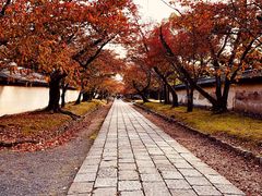 -醍醐寺
