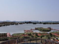 -芒洲湿地公园