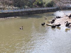 -黔灵山公园