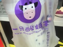 -一只酸奶牛(八一路店)