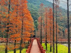 -广州市石门国家森林公园