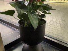 -涟LIAN·泰式按摩·MASSAGE·SPA(深业上城店)