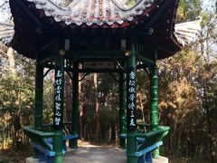 -潜山国家森林公园