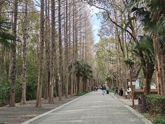-同里国家湿地公园