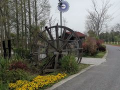 -上海长兴岛郊野公园