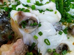 起鱼片蒸罗非鱼-鸽王世家(东华东路店)