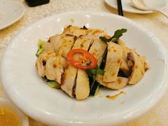 清远鸡-顺德人家食府(黄金广场店)