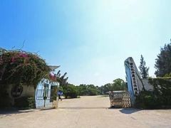 -广东惠东海龟国家级自然保护区