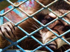 -水上乐园·欢乐世界