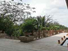 -海口万豪·大堂吧·望海吧.日落海景·下午茶·奶茶·咖啡·轻食·蛋糕·鸡尾酒·清吧