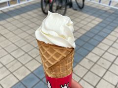 -蜜雪冰城·冰淇淋与茶(福大店)