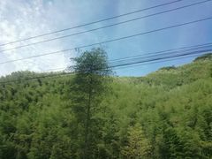 -将军关探险漂流