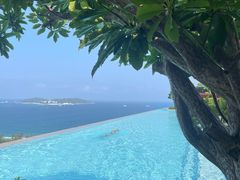 -瑰丽酒店·海吧·天际下午茶·现场DJ·天台酒吧