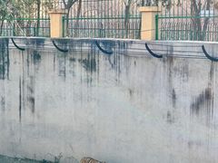 -保定市动物园