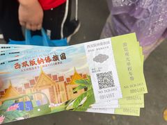 -西双版纳傣族园