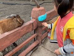 -龙达温泉生态城
