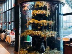 -咖梦餐厅 COMENG RESTAURANT