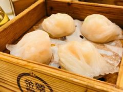 -金翠皇宫粤菜·点心·海鲜(科技园店)