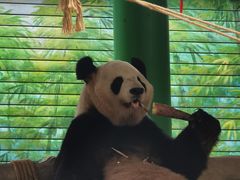 -灵玲国际马戏城