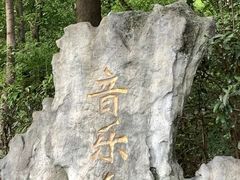 -音乐台