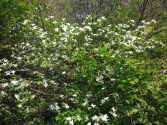 -山西通天峡景区