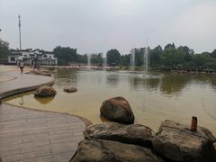 -广东圆玄道观