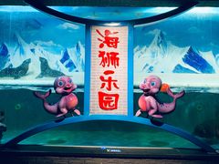 -成都浩海立方海洋公园