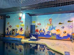 -太平洋海底世界