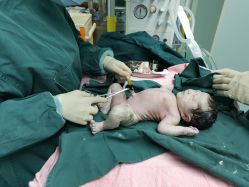 -杭州贝瑞斯美华妇儿医院·早孕·产检·儿科