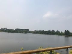 -东郊湿地公园