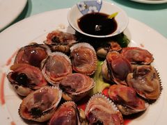 -高佳庄·舟山海鲜(海景旗舰店)