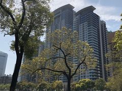-西北湖绿化广场